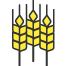 Пшеница-2-го-класса.png