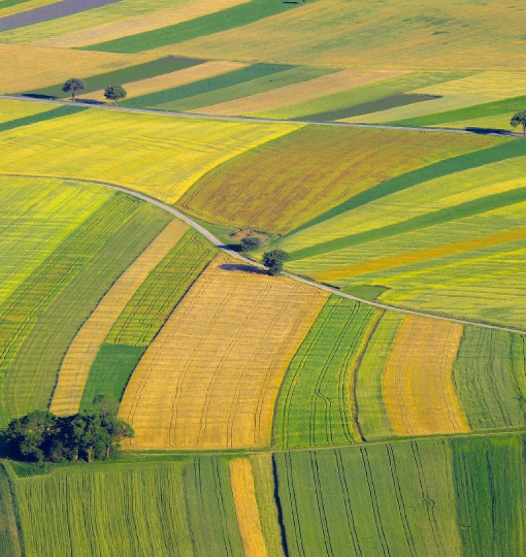 В Украине представили последствия закона о рынке земле №552-IX для агросектора