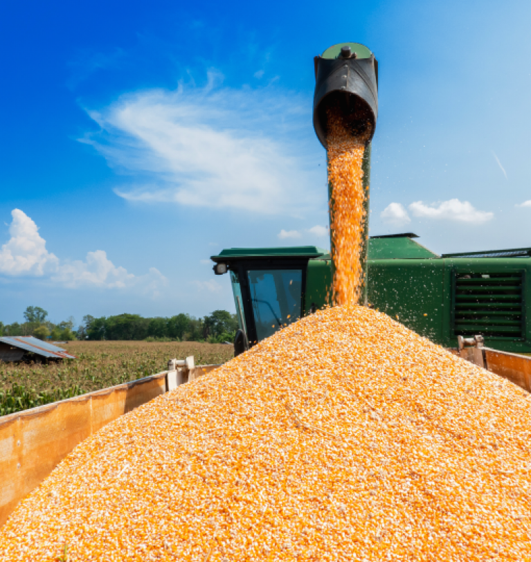 Экспорт зерновых из Украины превысил 12 млн т