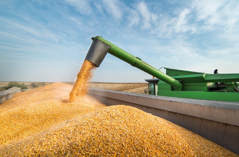 Евросоюз отменил пошлину на импорт зерна