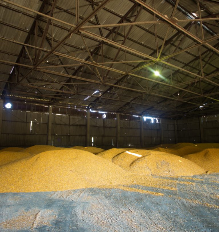 Запасы зерна в хранилищах снизилась почти на 40%
