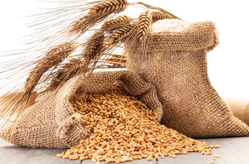В Украине уже собрали 1,1 млн тонн зерна