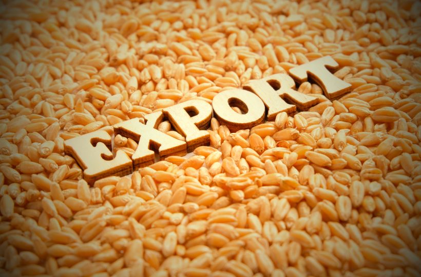 Новый рекорд экспорта зерна