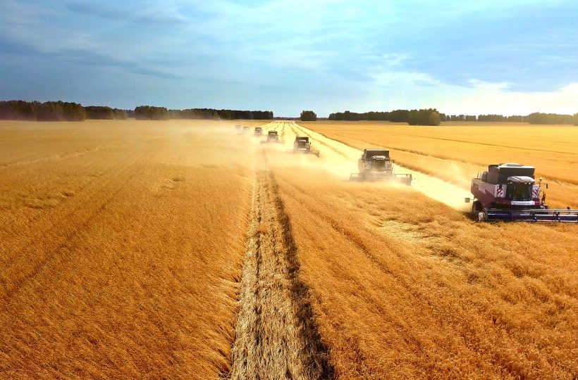 ТОП-10 областей лидеров по урожайности пшеницы