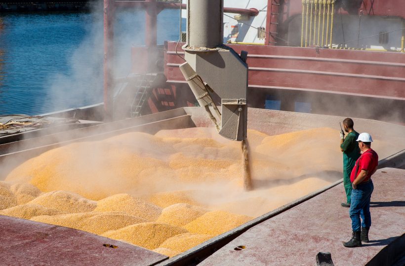 В украинских портах повысились цены на продовольственную пшеницу