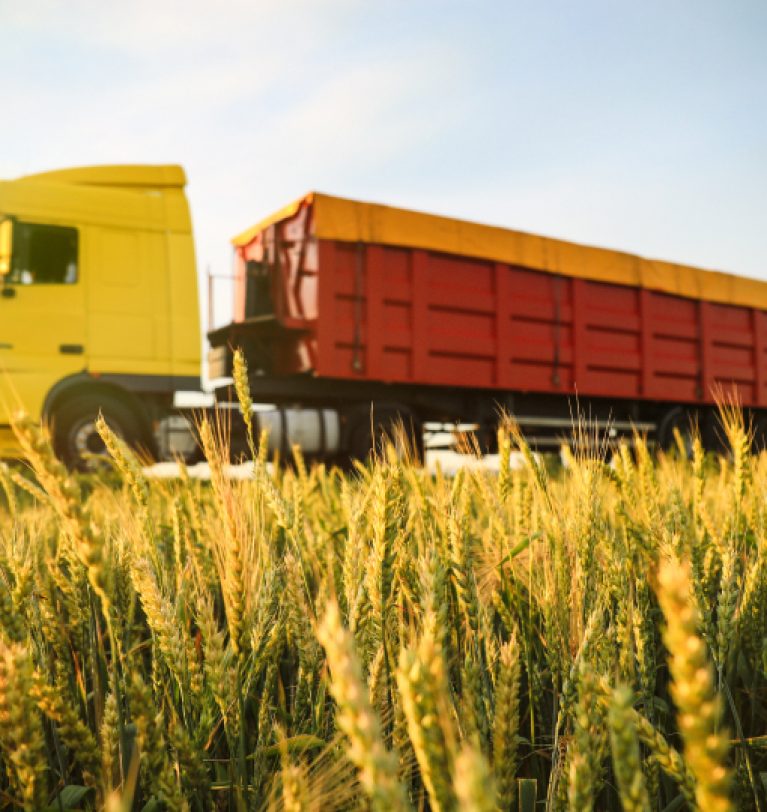 Экспорт пшеницы из Украины с начала сезона составила 5,4 млн т.