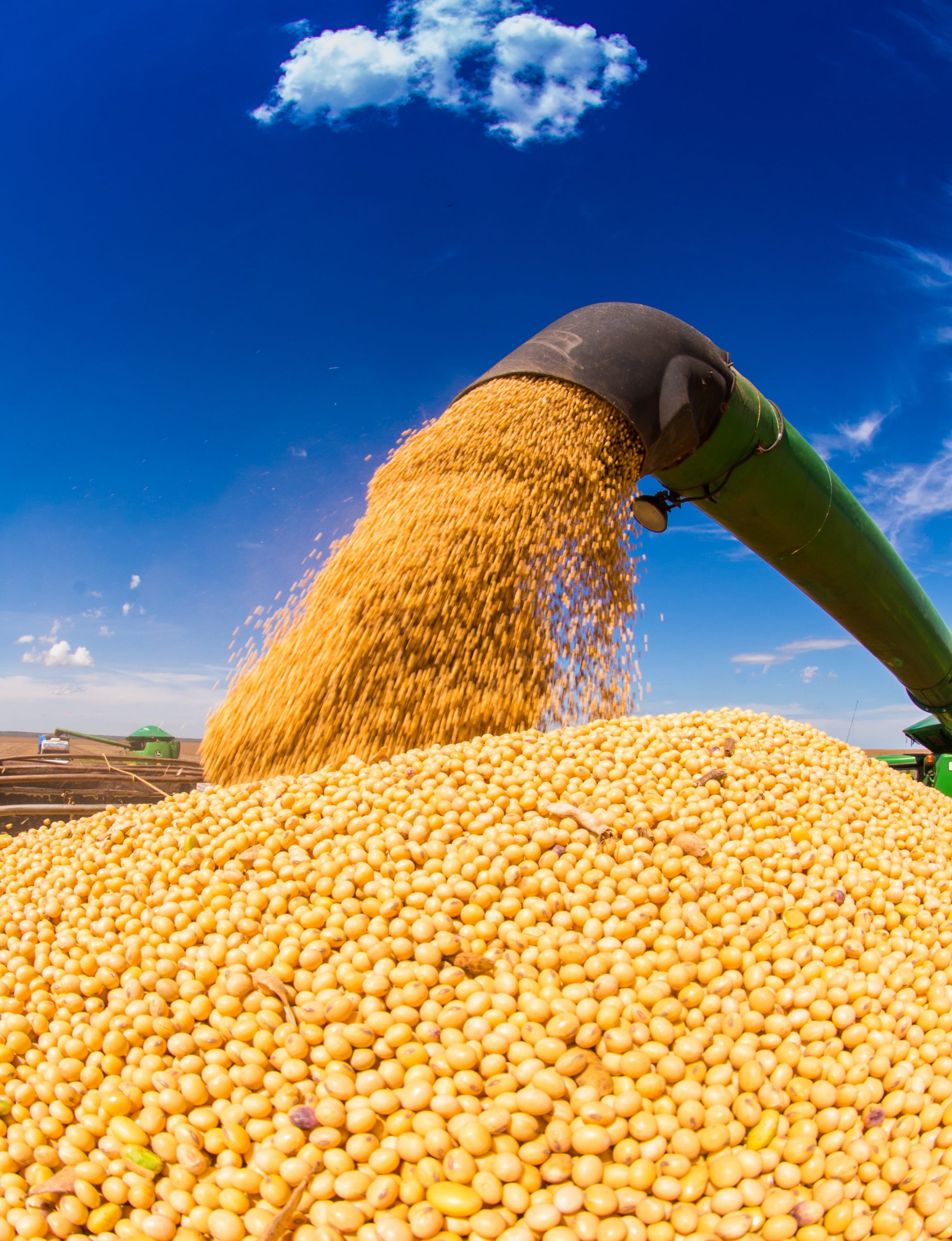 В 5 областях Украины завершена уборка сои — KADORR Agro Group