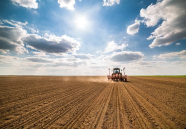 Украинские аграрии посеяли почти 8 млн га озимых