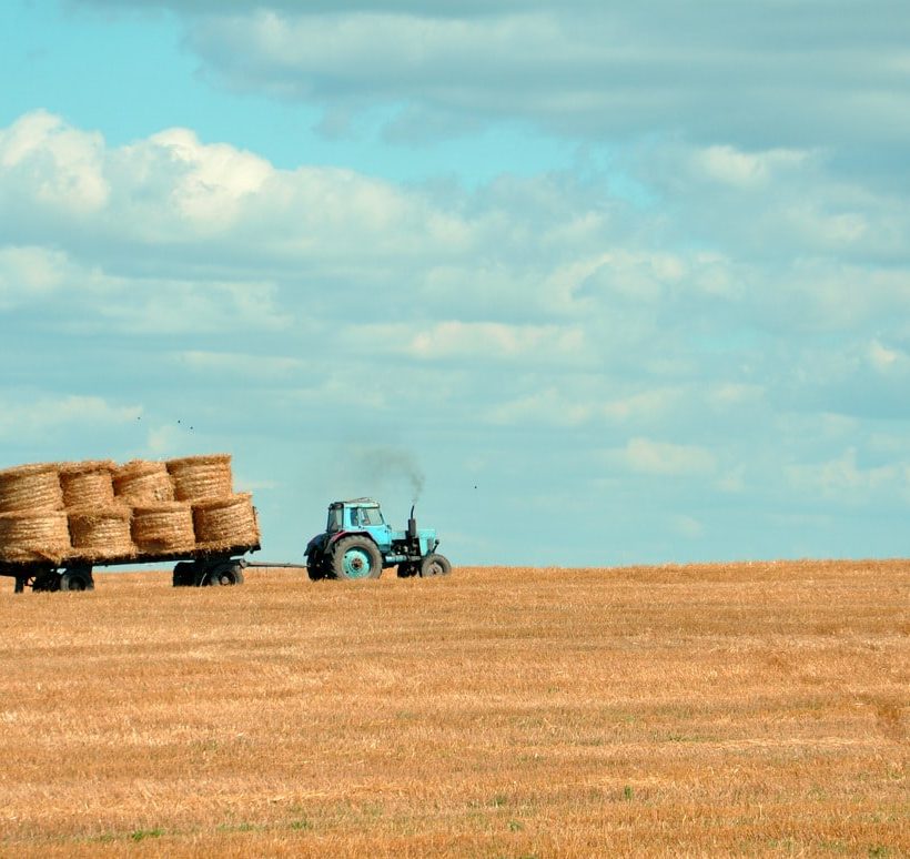 Луганский регион собирает рекордный урожай