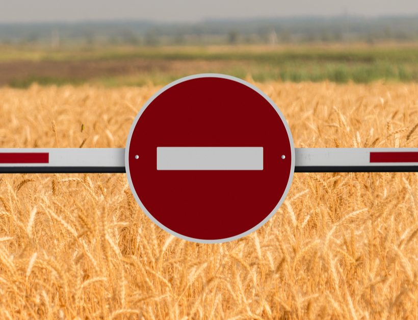 Херсонской области могут запретить экспортировать выращенное зерно
