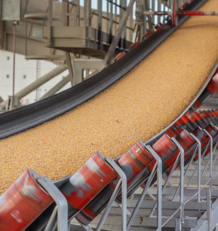 Государственные запасы украинской пшеницы могут пойти на экспорт